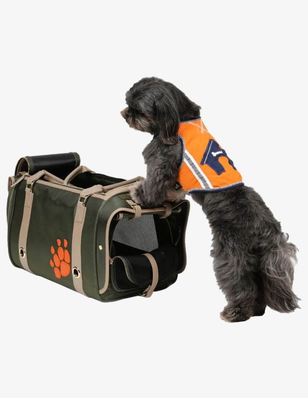 Pet Carrier Shopaholic Green Bag with a Cute Puppy
